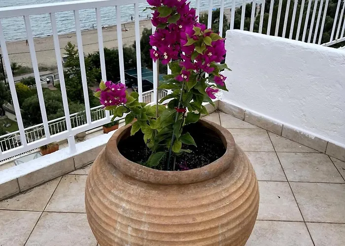 Apartment The Balcony House Nea Moudania