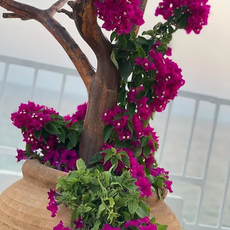 The Balcony House Διαμέρισμα Νέα Μουδανιά